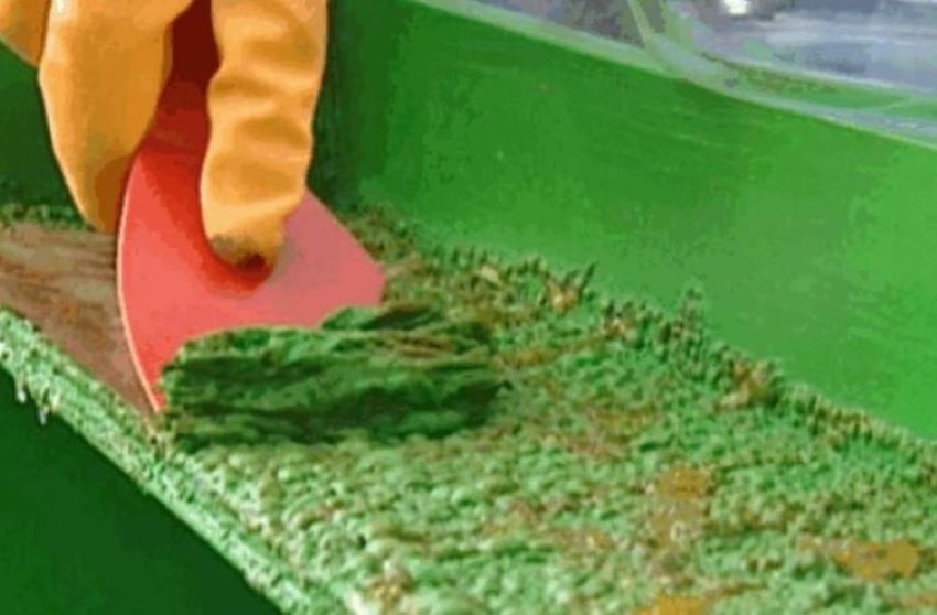 Công Dụng Của Hoá Chất Tẩy Sơn Tĩnh Điện? Đặt Mua Ở Đâu?